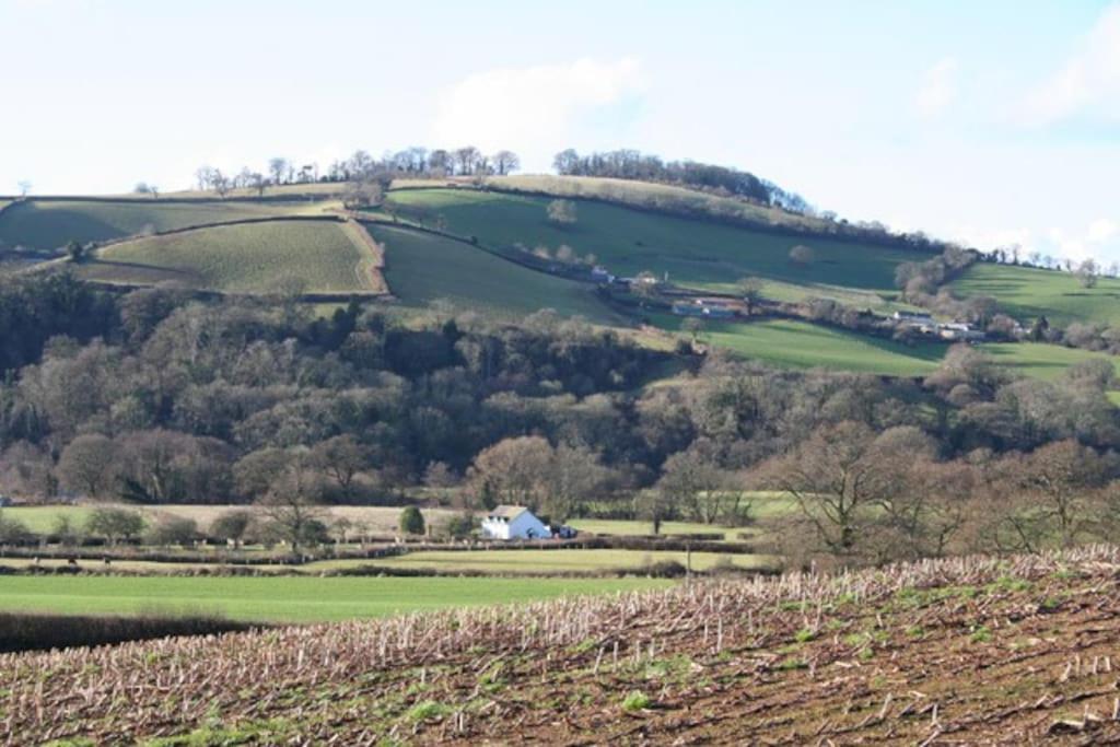 Rural Devon Retreat In Stunning Exe Valley. Ексетер Екстер'єр фото